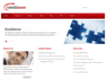 intellinum.com