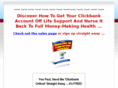 clickbank-critical.com