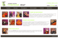 r-things.com