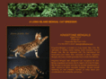 kingstonebengals.com