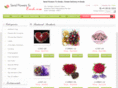 sendflowerstoerode.com
