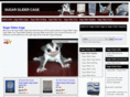 sugar-glider-cage.com