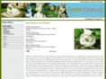 garden-statues.org