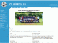 svhoerne.de