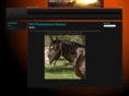 tnthorses.com
