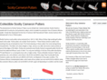buycameronputters.com