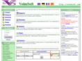 volmsoft.com