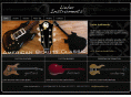 lieberguitars.com