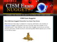 cismexamnuggets.com