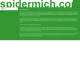 spidermich.com