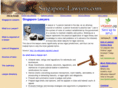 singapore-lawyers.com