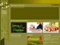 balsaspremierhotel.com