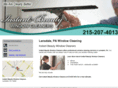 instantbeautywindowcleaners.com