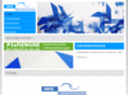 mms-it.net