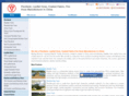 flexitankchina.com