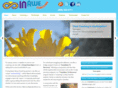 inawecoaching.com