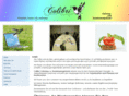 colibri-kibo.com