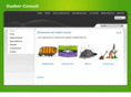 hueber-consult.de