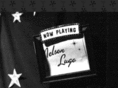 nelsonlugo.com