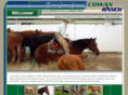 cowan-ranch.com