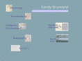 sandybrunvand.com