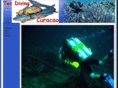 tecdivingcuracao.com