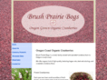 brushprairiebogs.com