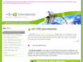 cle-usb-personnalisee.com