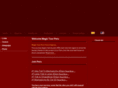 magictourperu.com