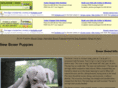 newboxerpuppies.com