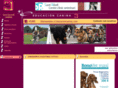 educacioncanina.com