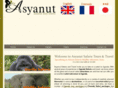 asyanuttours-safaris.com