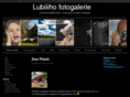 lubiii.net