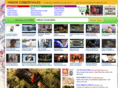 videocomerciales.com