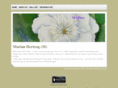 ms-place.com