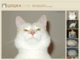 shushka.com