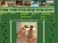 gondwana-ridgebacks.com
