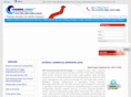 externalcommercialborrowing.com