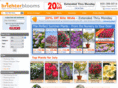 brighterblooms.com