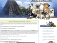 chiot-chihuahua.com