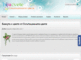 bijucvete.com