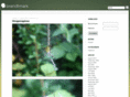 brandtmark.ch