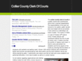 colliercountyclerkofcourts.info