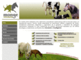 mongeveterinarios.com