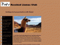 rosebudllamasutah.com