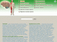 anatomus.ru