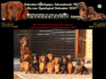excellmagic.ru