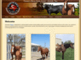 championranch.org