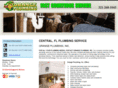 orangeplumbing-fl.com