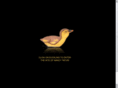 nancytafuri.com